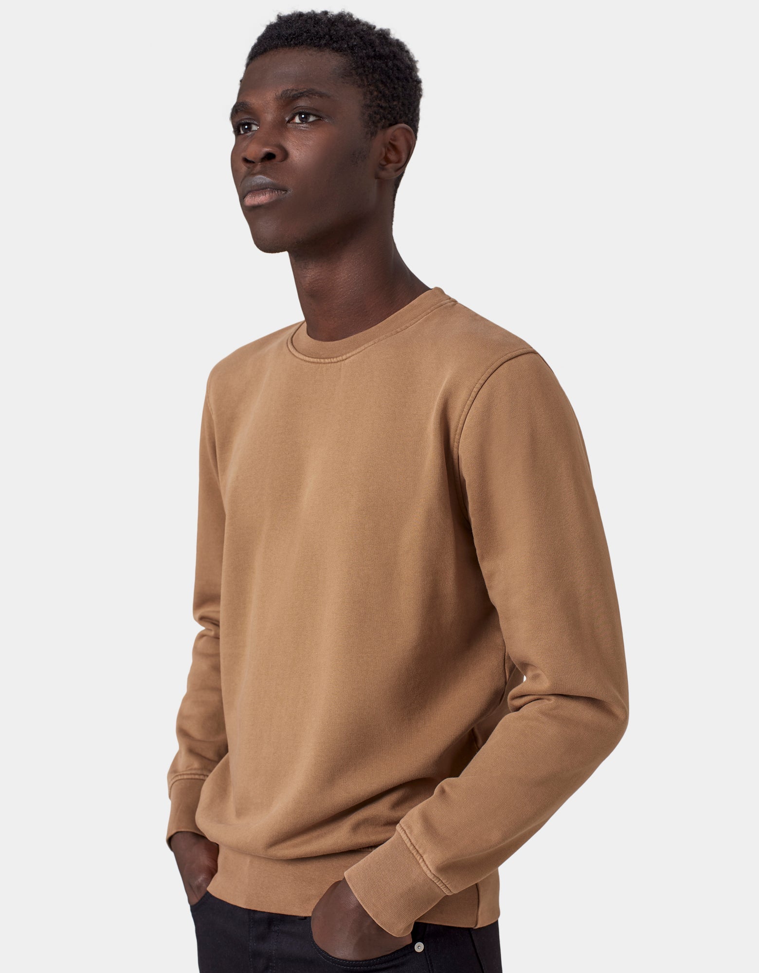 Men's Organic Crewnecks