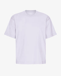 Soft Lavender