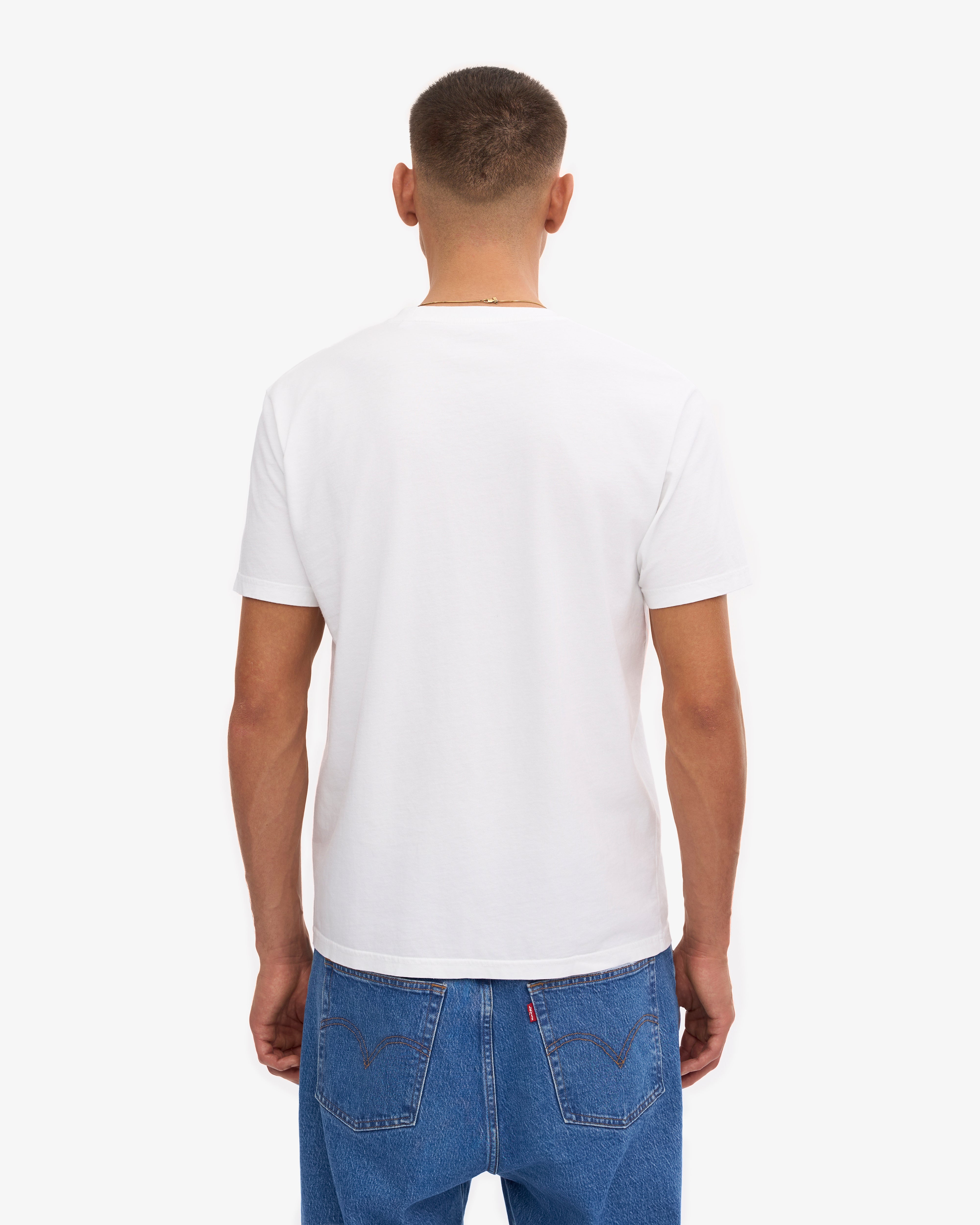 Classic Organic Tee - Mixed 04 (3-Pack)