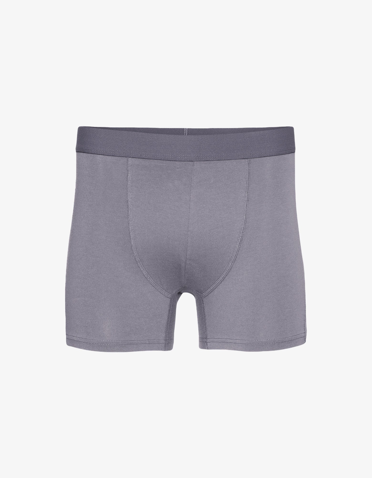 Colorful Standard Classic Organic Boxer Briefs Underwear Purple Haze