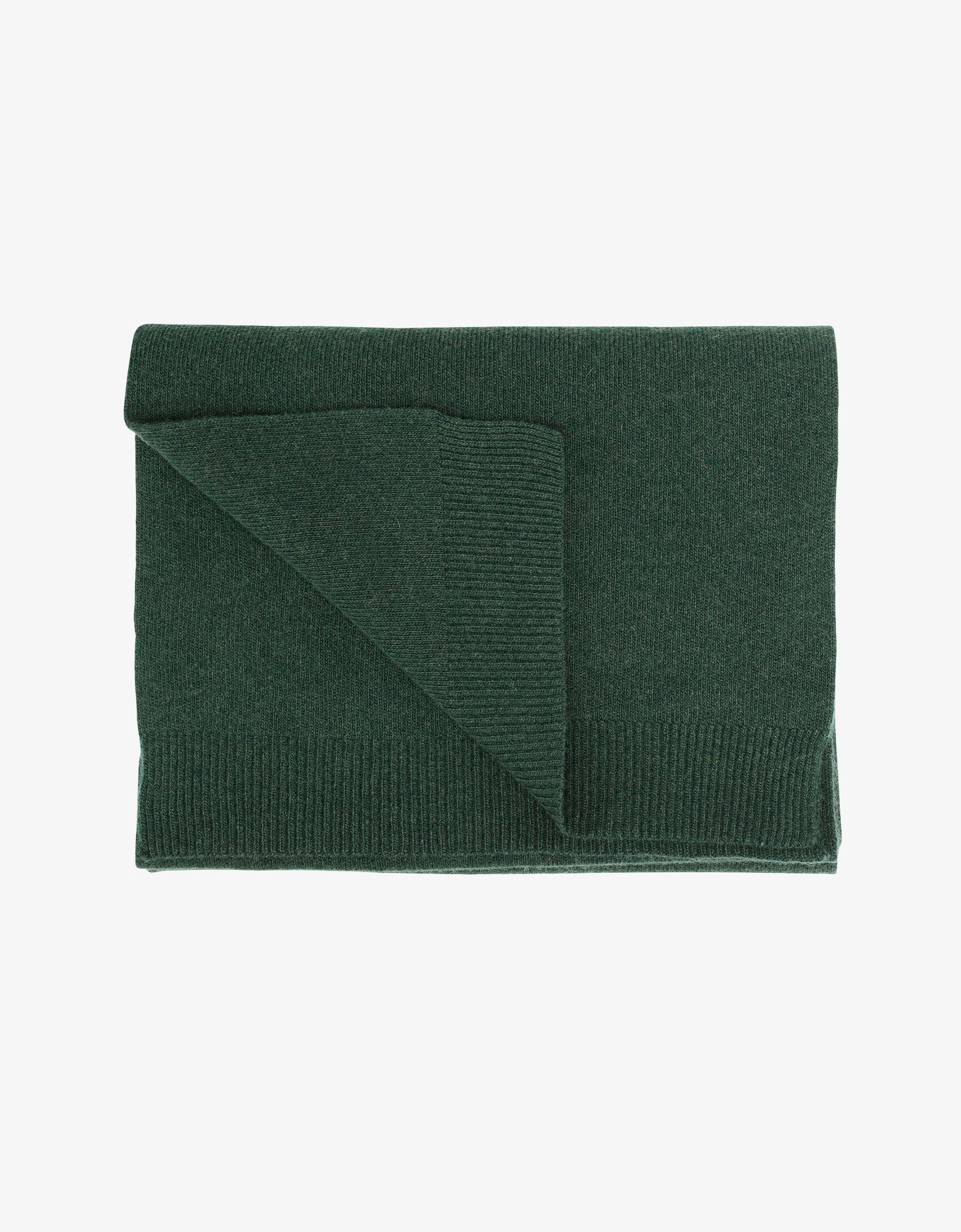 Colorful Standard Merino Wool Scarf Scarf Emerald Green