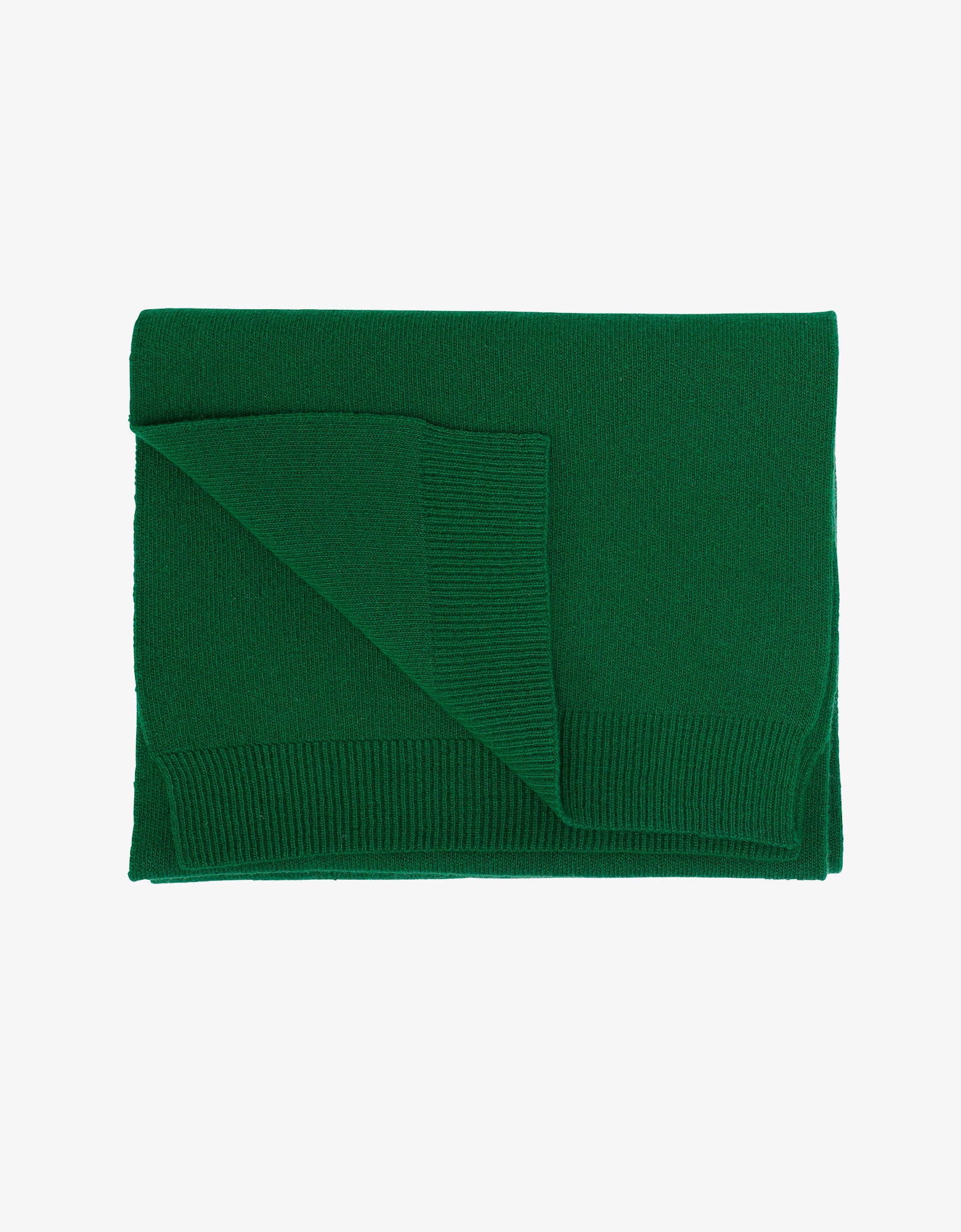 Colorful Standard Merino Wool Scarf Scarf Kelly Green