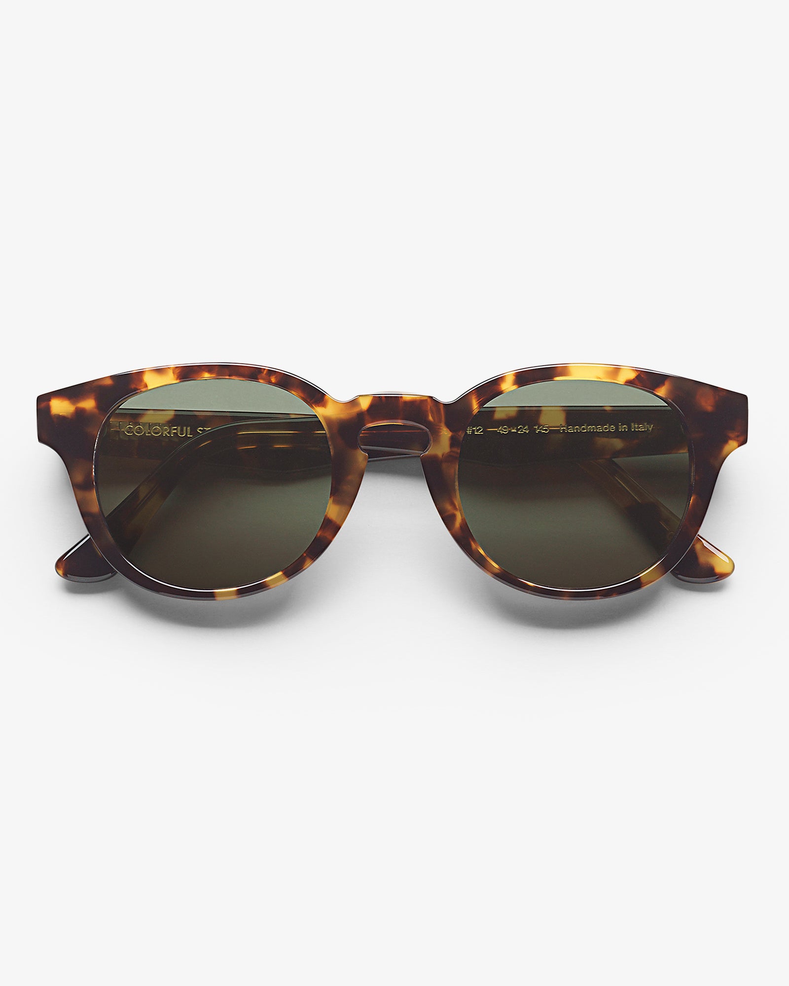 Sunglass 12 - Classic Havana - Green