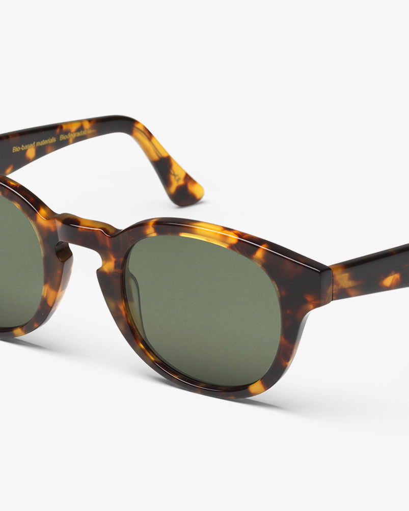 Sunglass 12 - Classic Havana - Green