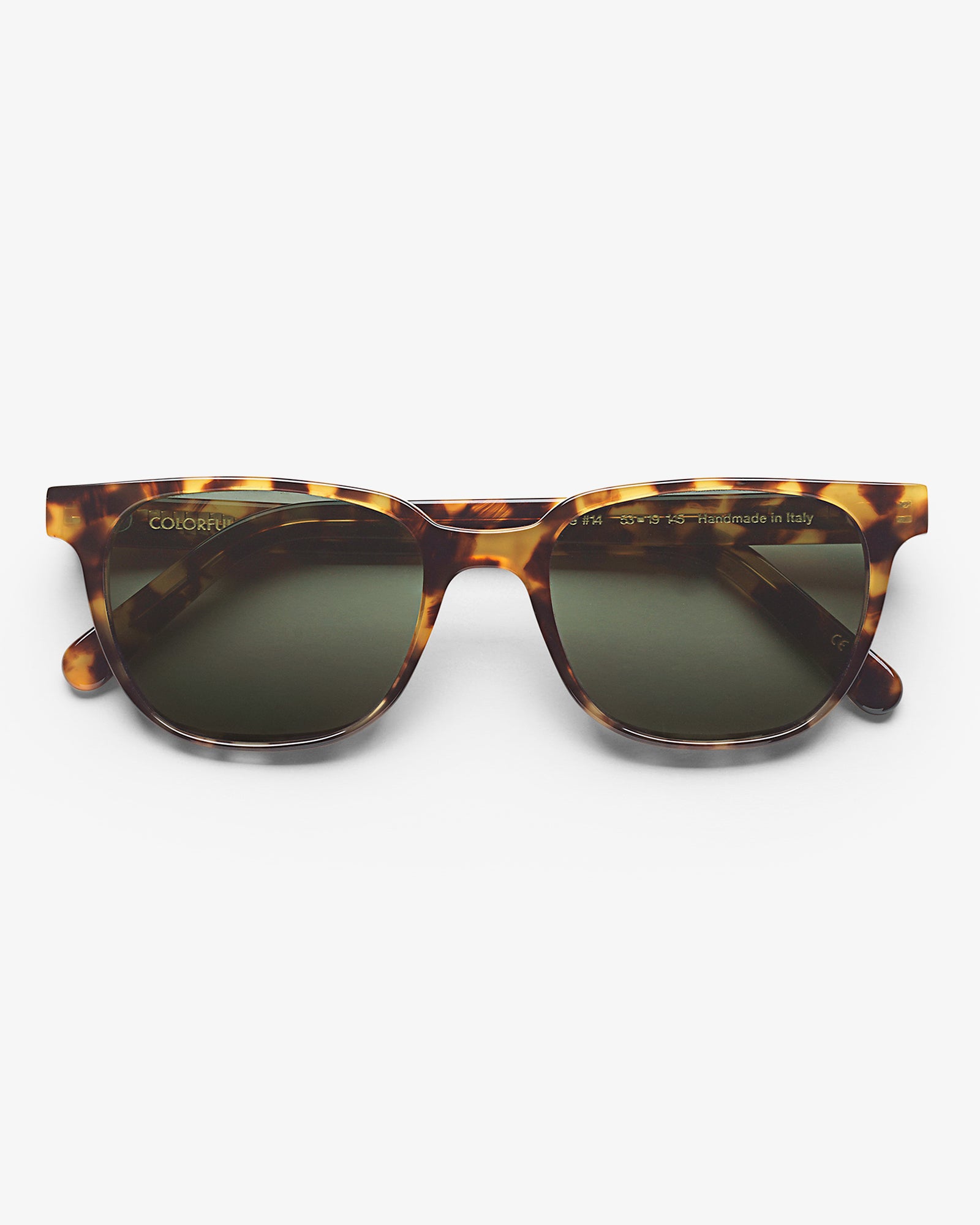 Sunglass 14 - Classic Havana - Green