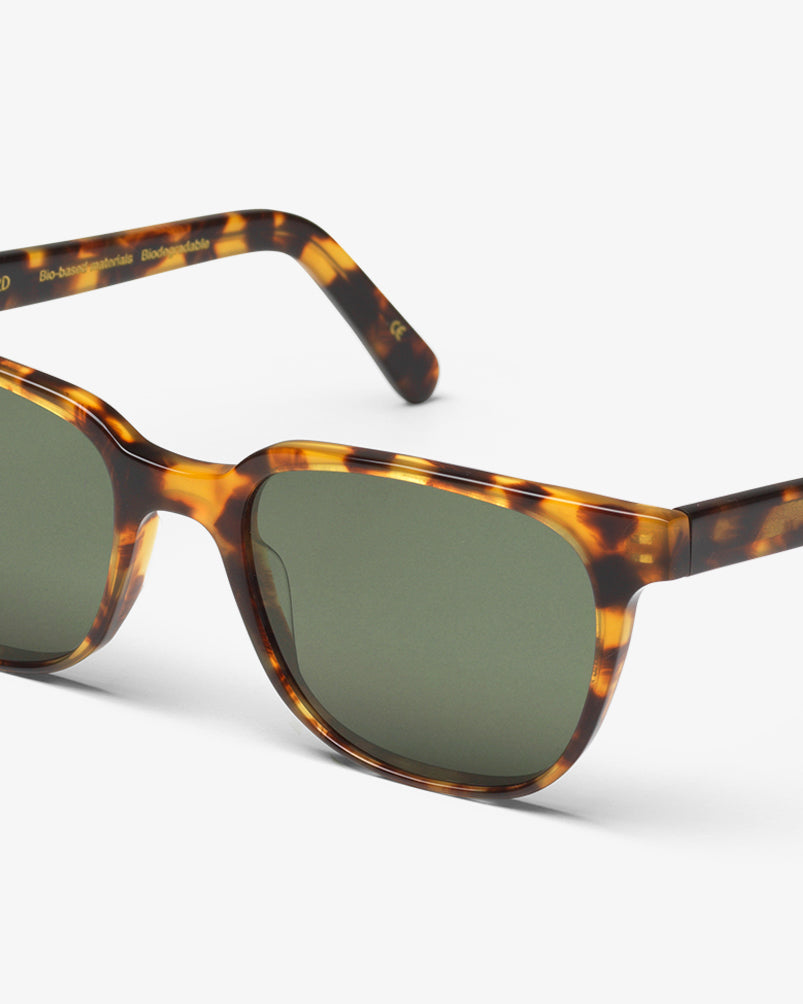 Sunglass 14 - Classic Havana - Green