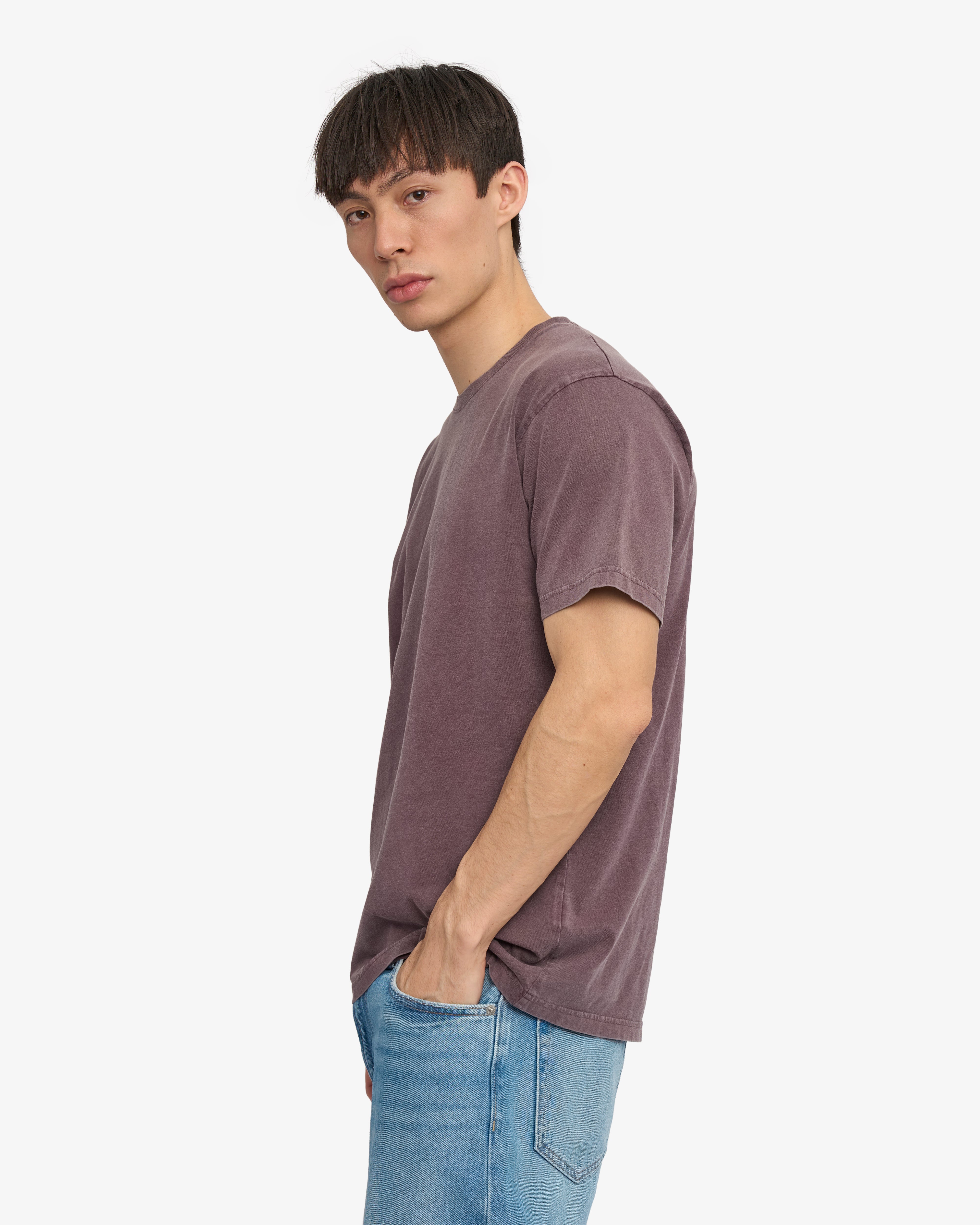 Classic Organic Tee - Faded Grape