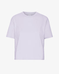 Soft Lavender