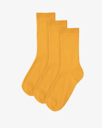 Burned Yellow (3-Pack)