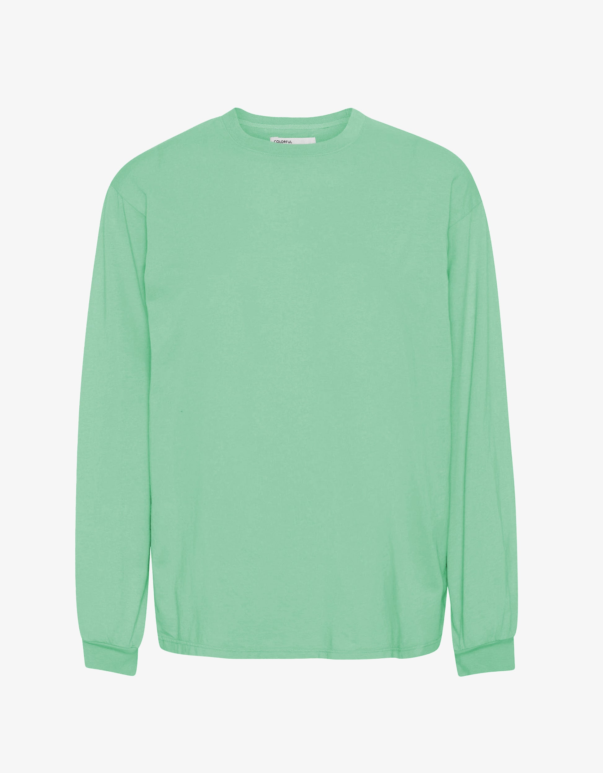 Oversized Organic LS T-shirt - Seafoam Green