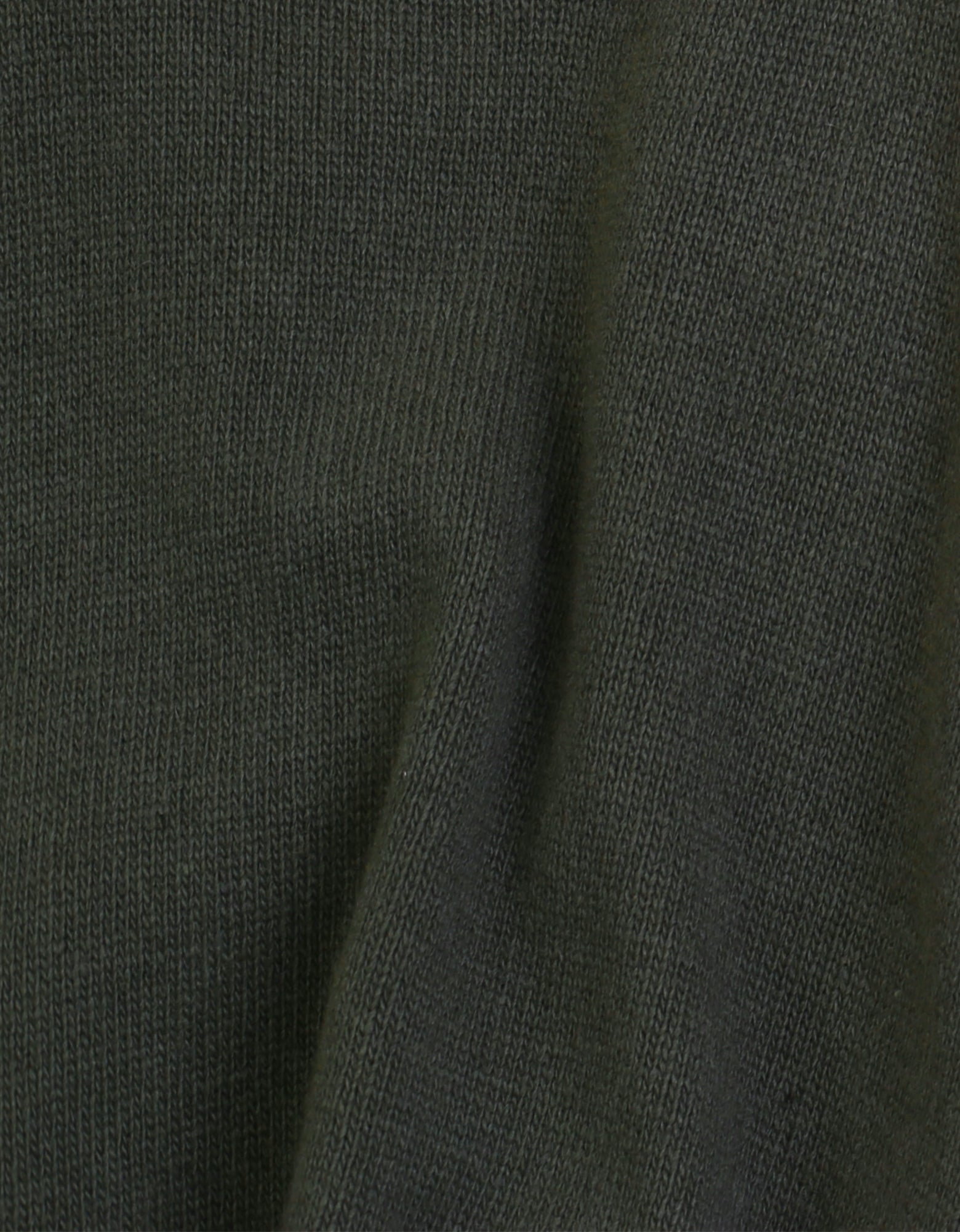 Colorful Standard Classic Merino Wool Crew Merino Crewneck Emerald Green