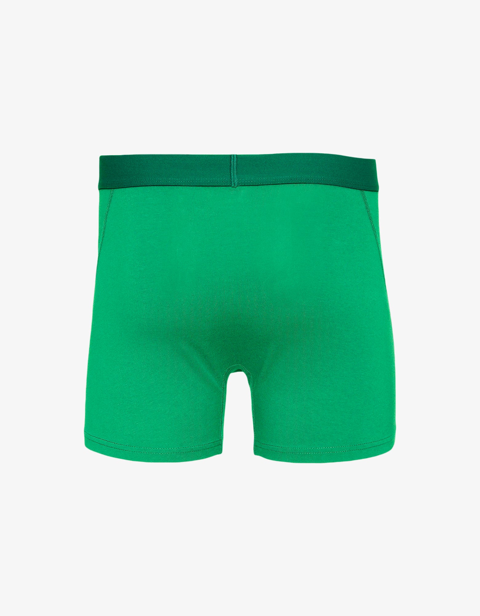 Colorful Standard Classic Organic Boxer Briefs Underwear Kelly Green