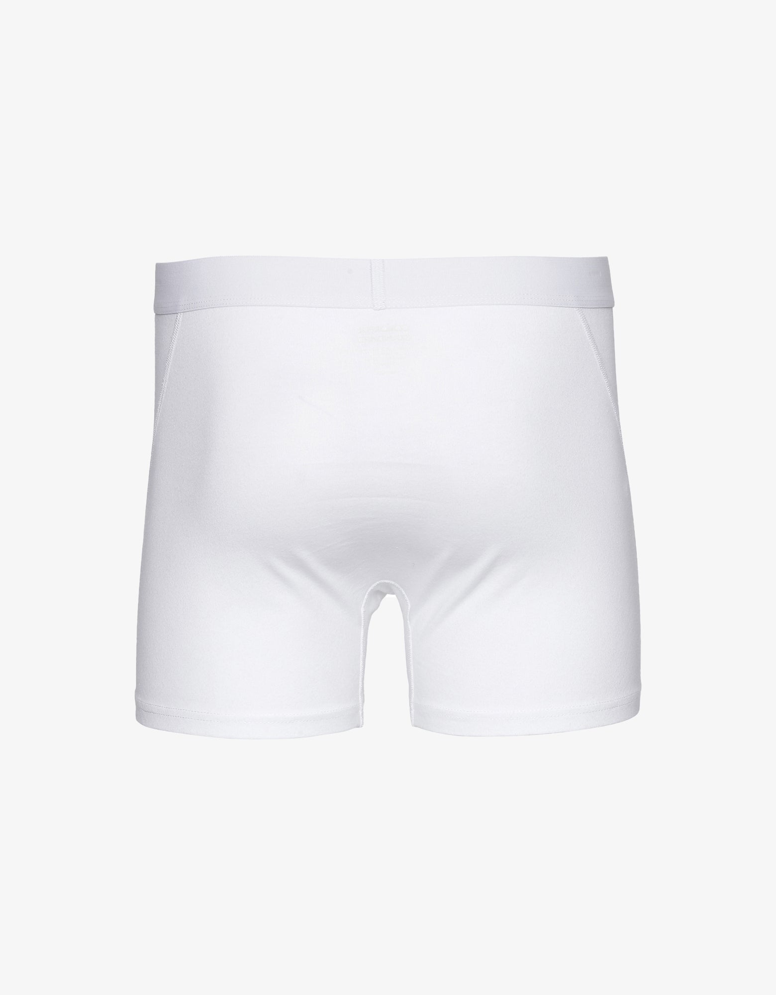 Colorful Standard Classic Organic Boxer Briefs Underwear Optical White