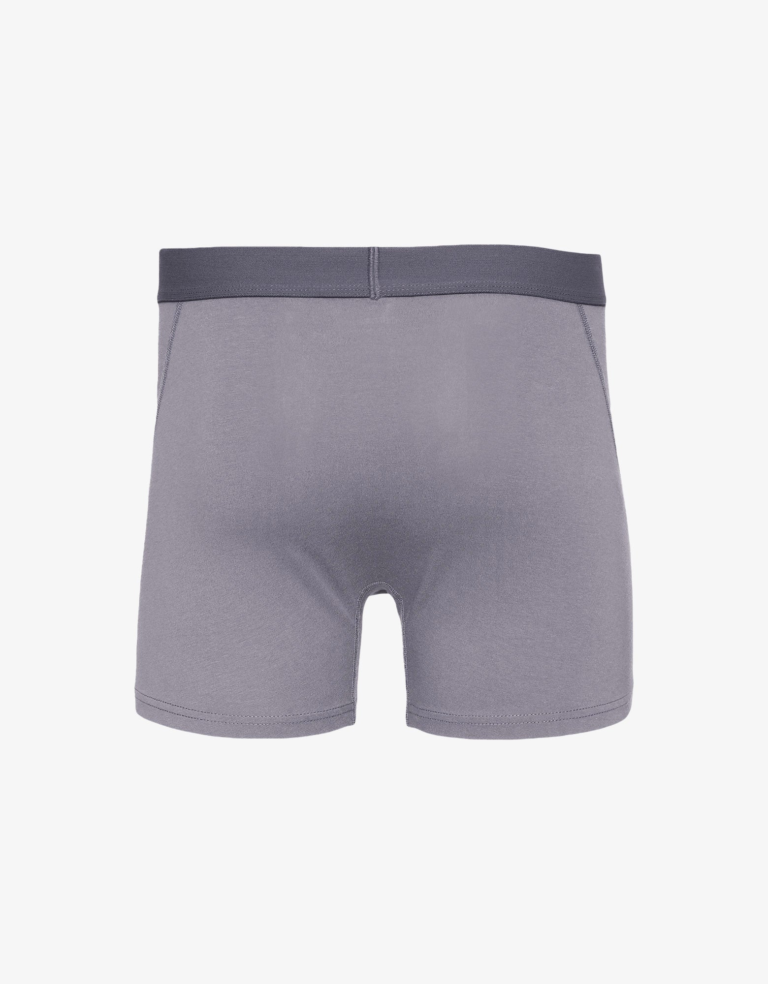Colorful Standard Classic Organic Boxer Briefs Underwear Purple Haze