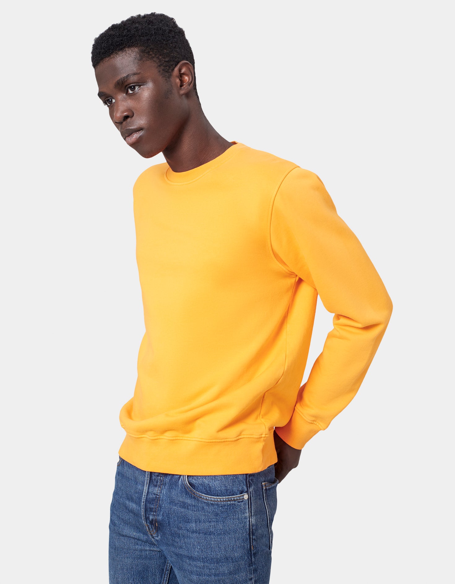 Classic Organic Crew Deep Black Colorful Standard